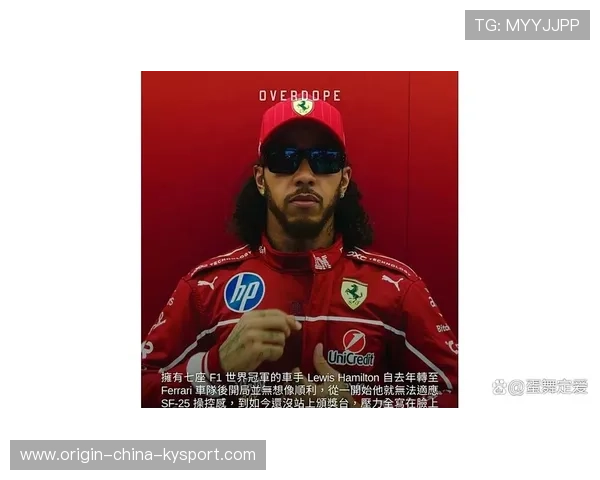 汉密尔顿疑似团队不和